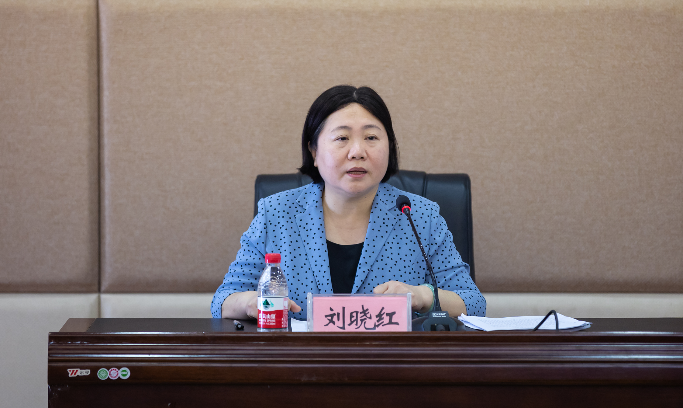 刘晓红书记讲话